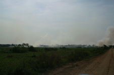 Incendie, feu sur le Pantanal
